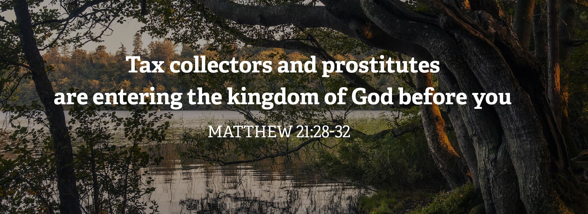 Twenty-Sixth Sunday in Ordinary Time ~ 1st October 2023