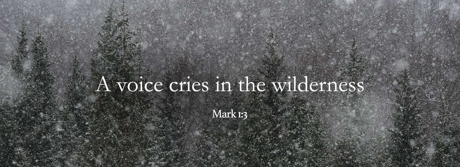 Second Sunday of Advent ~ 10th December 2023