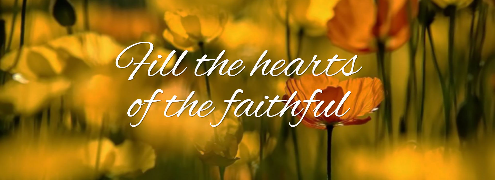 Pentecost Sunday ~ 8th June 2025