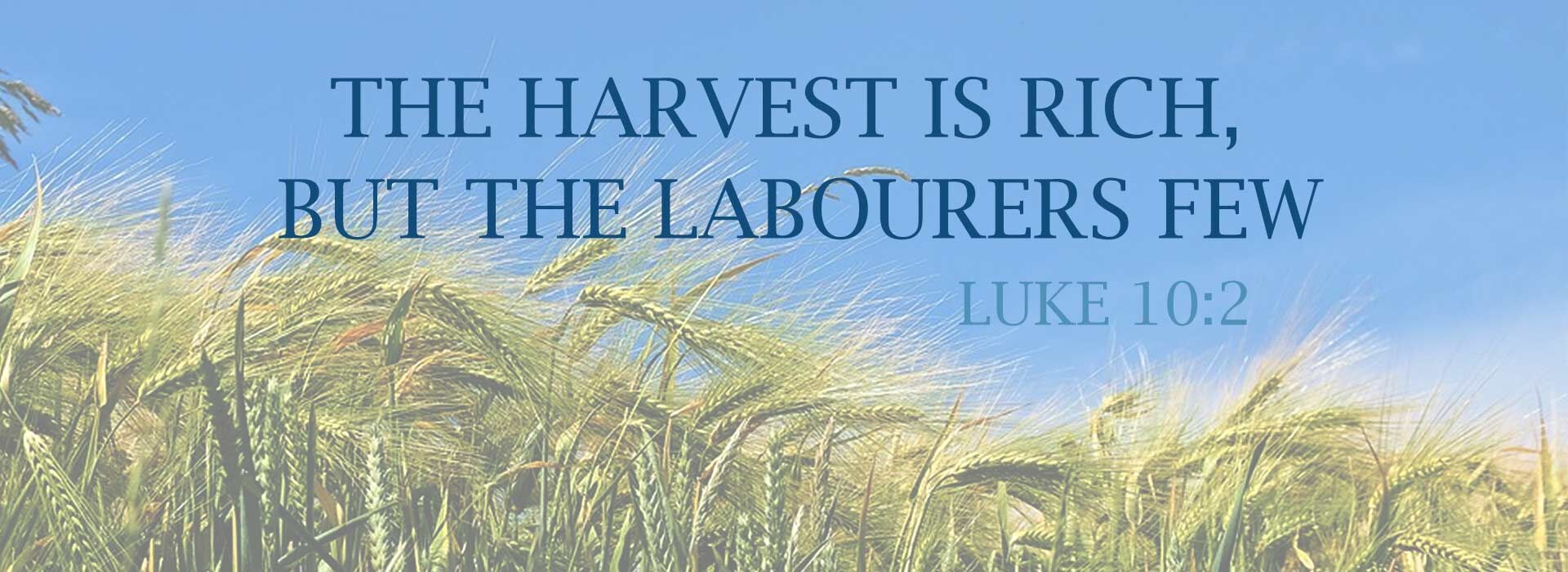 Fourteenth Sunday in Ordinary Time ~ 6th July 2025