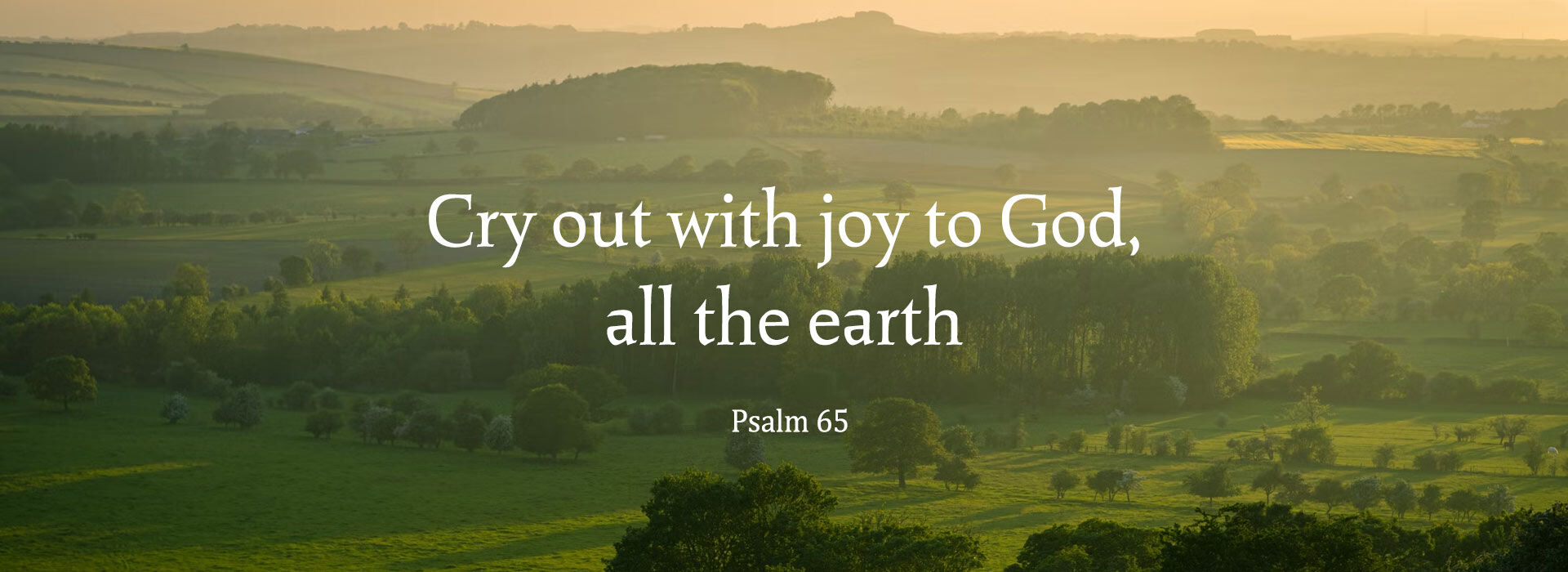 Fourteenth Sunday in Ordinary Time ~ 6th July 2025