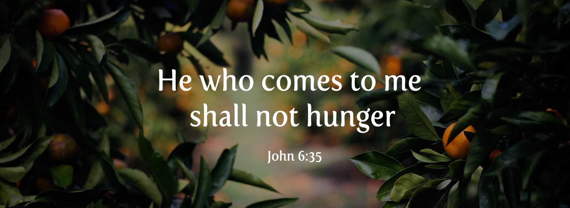Eighteenth Sunday in Ordinary Time ~ 3rd August 2025
