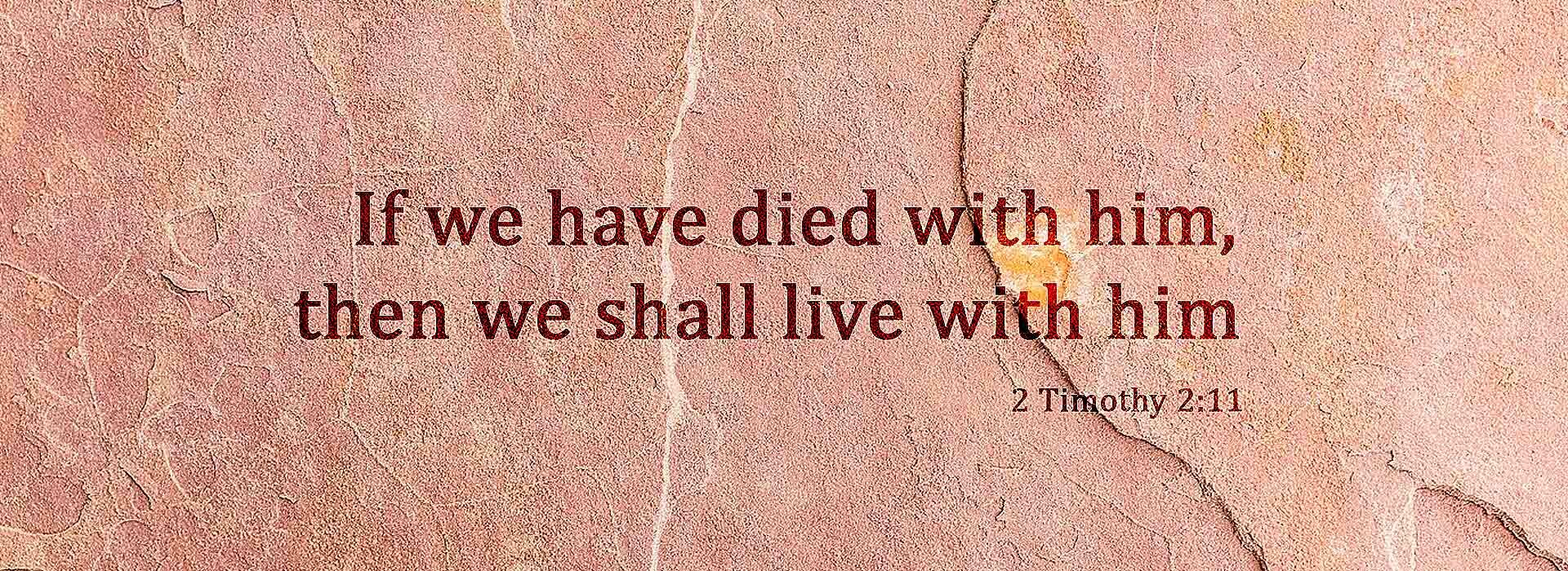 Twenty-Eight Sunday in Ordinary Time ~ 12th October 2025