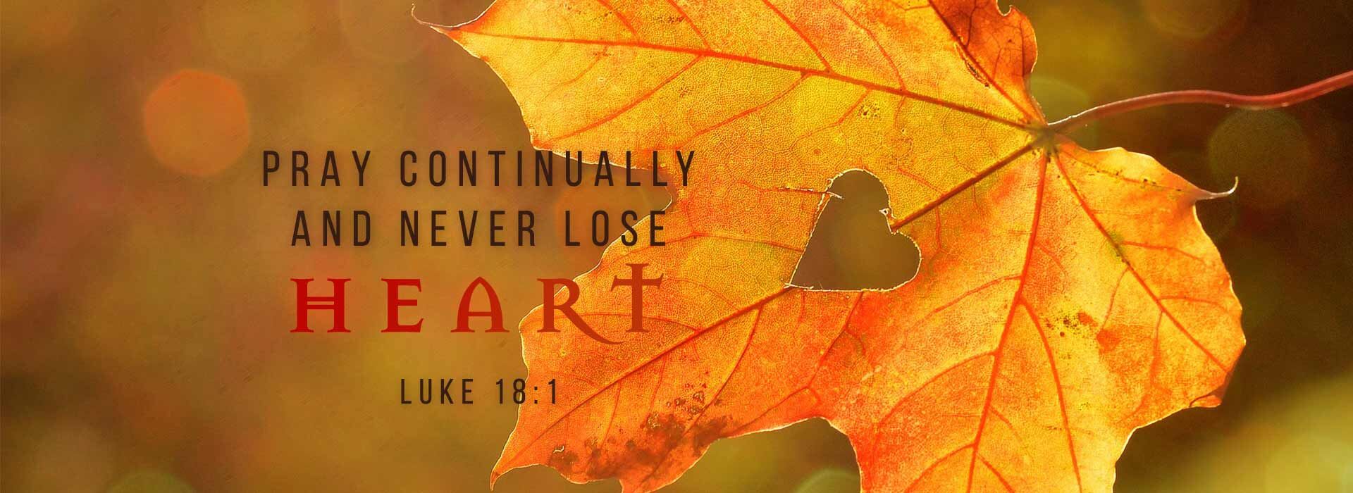 Twenty-Ninth Sunday in Ordinary Time ~ 19th October 2025