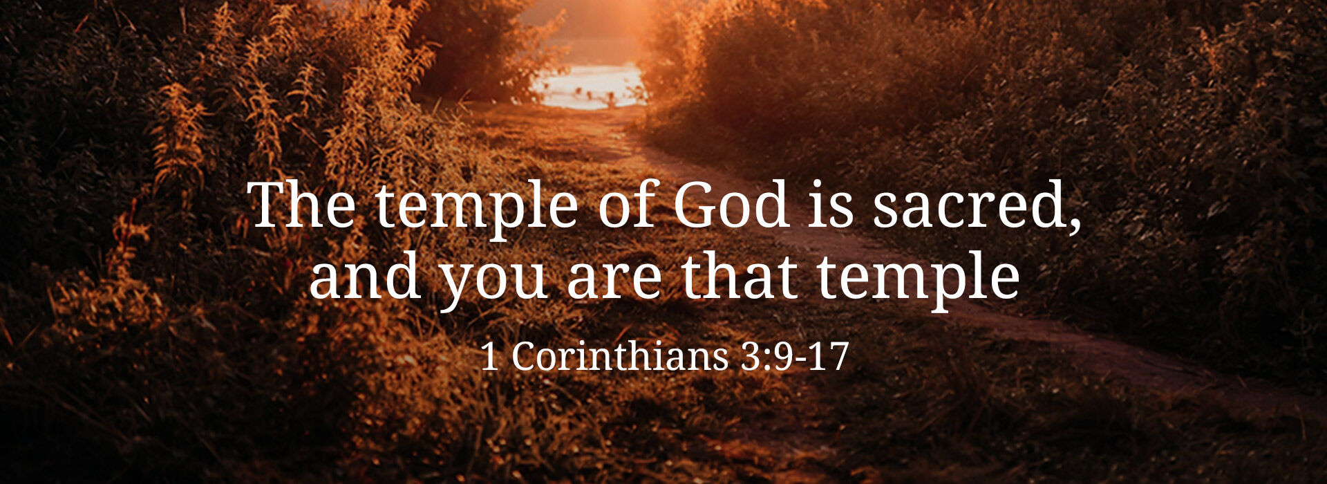 The Dedication of the Lateran Basilica ~ 9th November 2025