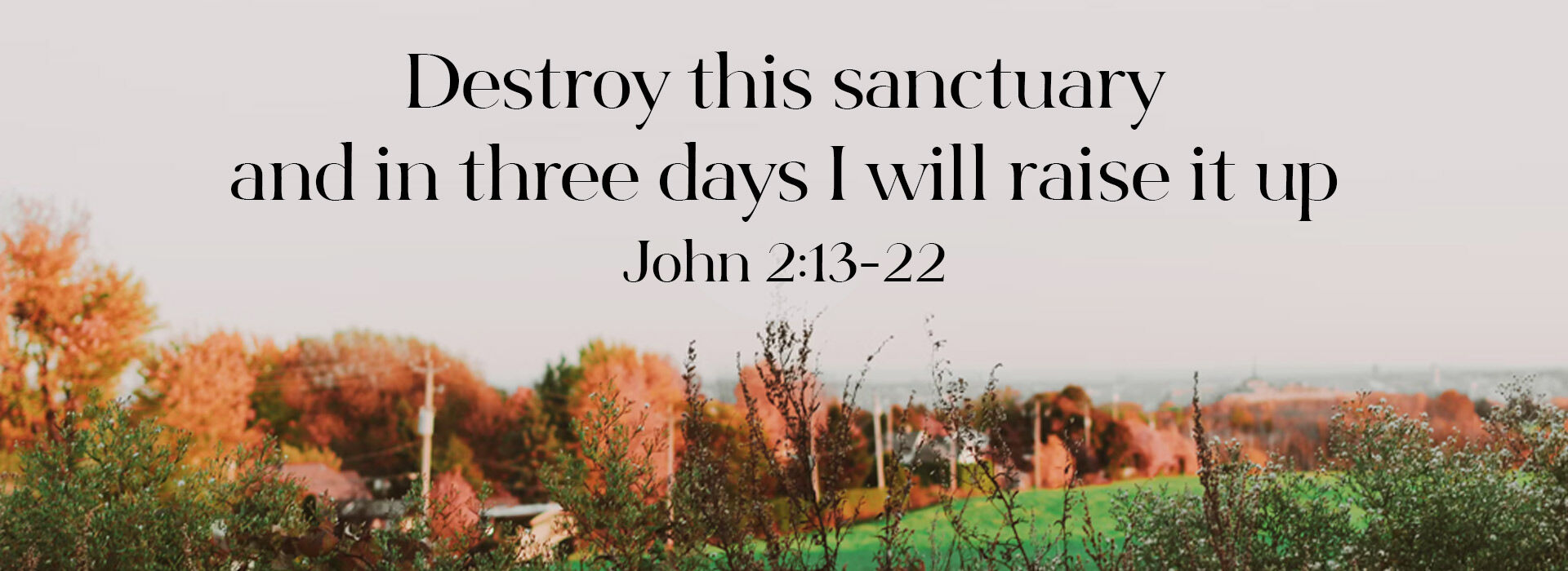 The Dedication of the Lateran Basilica ~ 9th November 2025