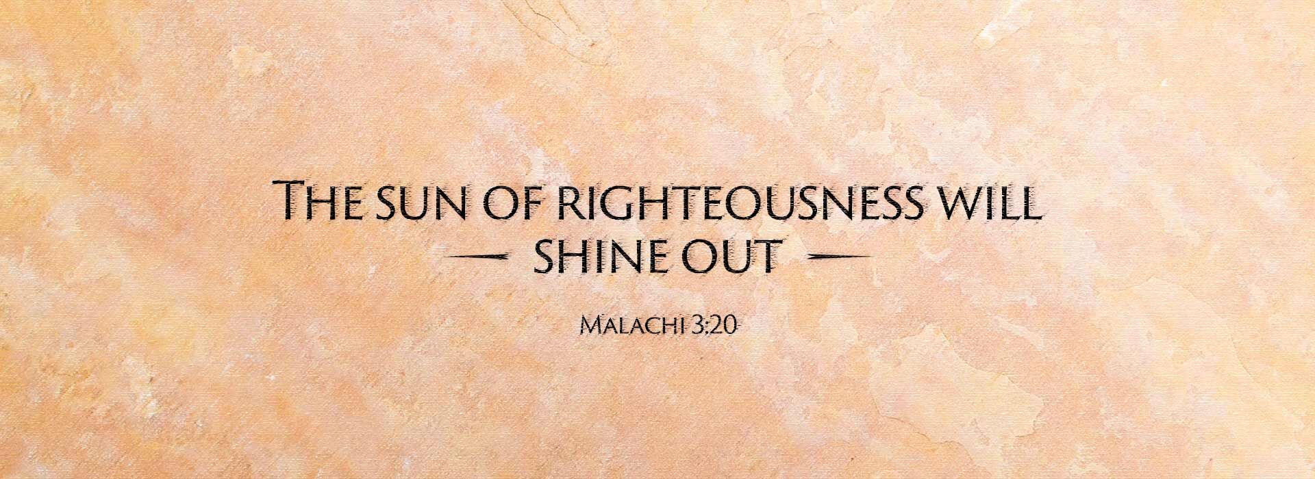 Thirty-Third Sunday in Ordinary Time ~ 16th November 2025
