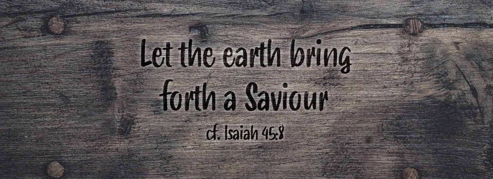 Fourth Sunday of Advent ~ 21st December 2025