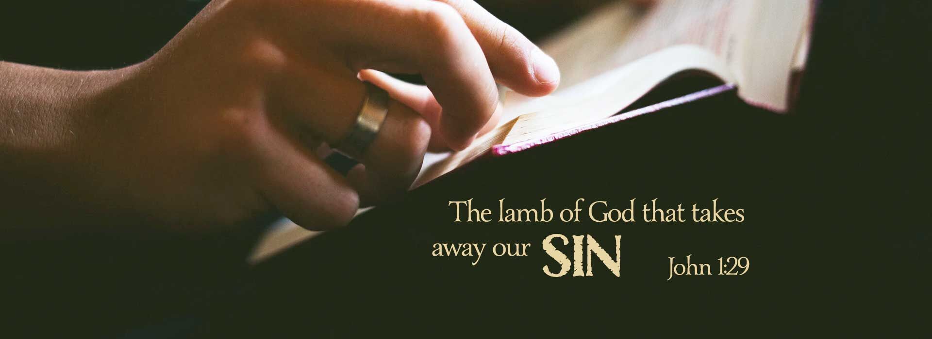 Second Sunday in Ordinary Time ~ 18th January 2026