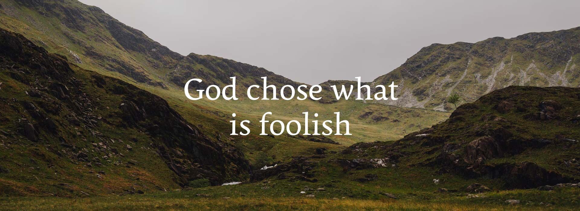 St Brigid, Abbess, Secondary Patron of Ireland ~ 1st February 2026