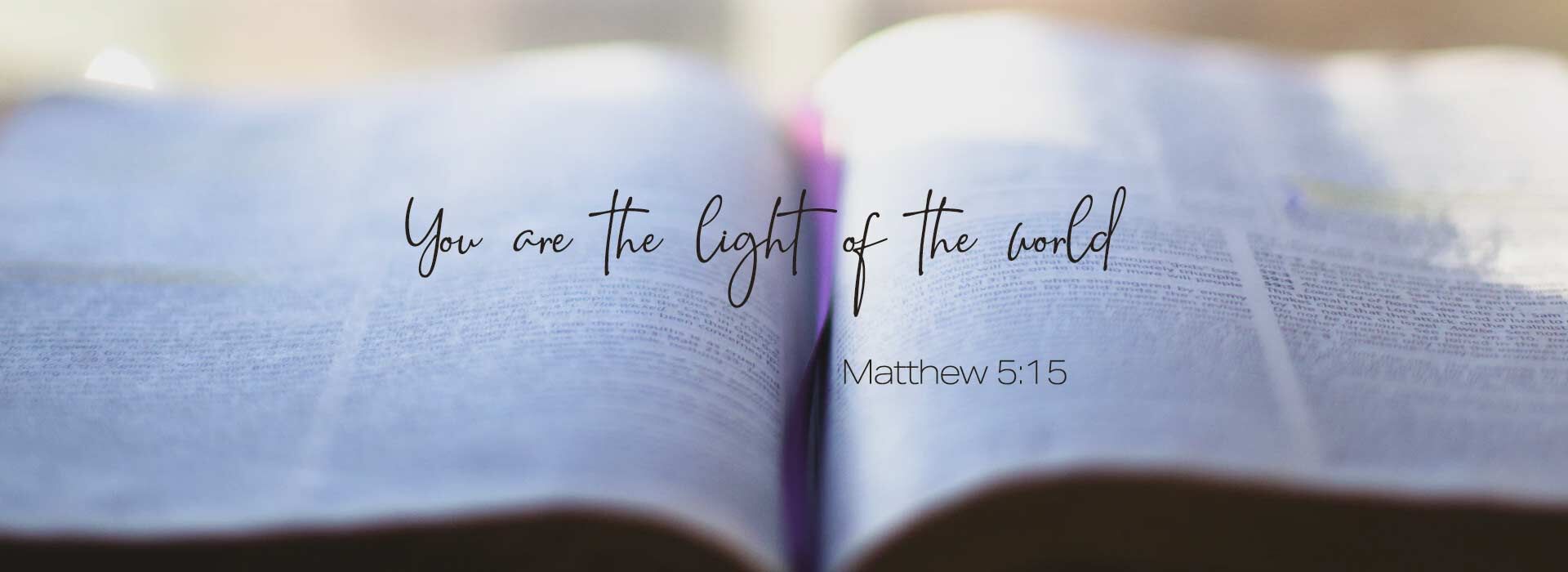 Sixth Sunday in Ordinary Time ~ 15th February 2026