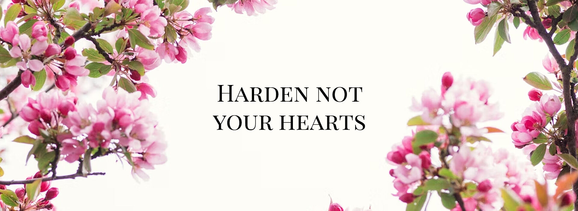 Third Sunday of Lent ~ 8th March 2026