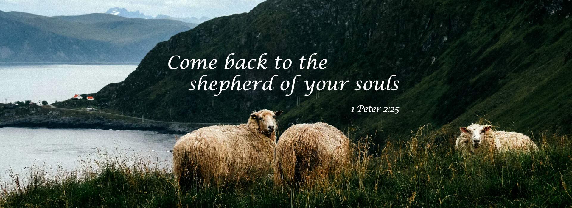 FOURTH SUNDAY OF EASTER ~ 26th April 2026