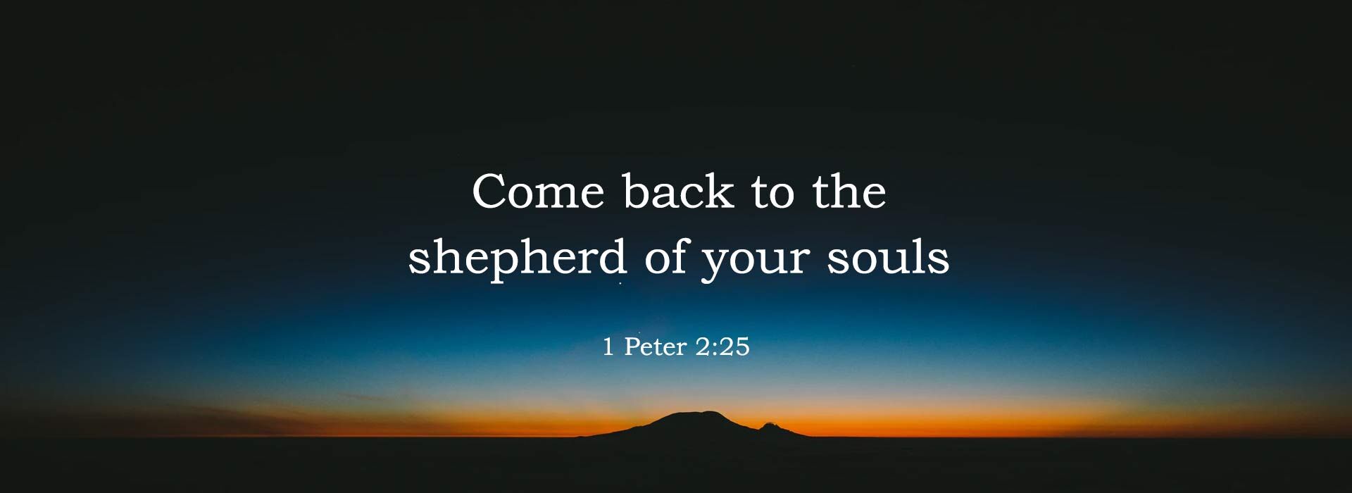 FOURTH SUNDAY OF EASTER ~ 26th April 2026