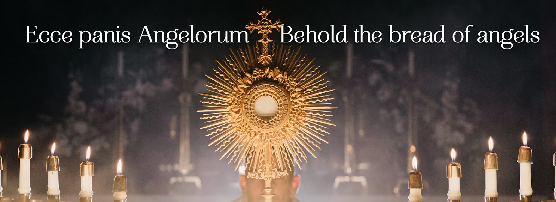 The Most Holy Trinity ~ 31st May 2026