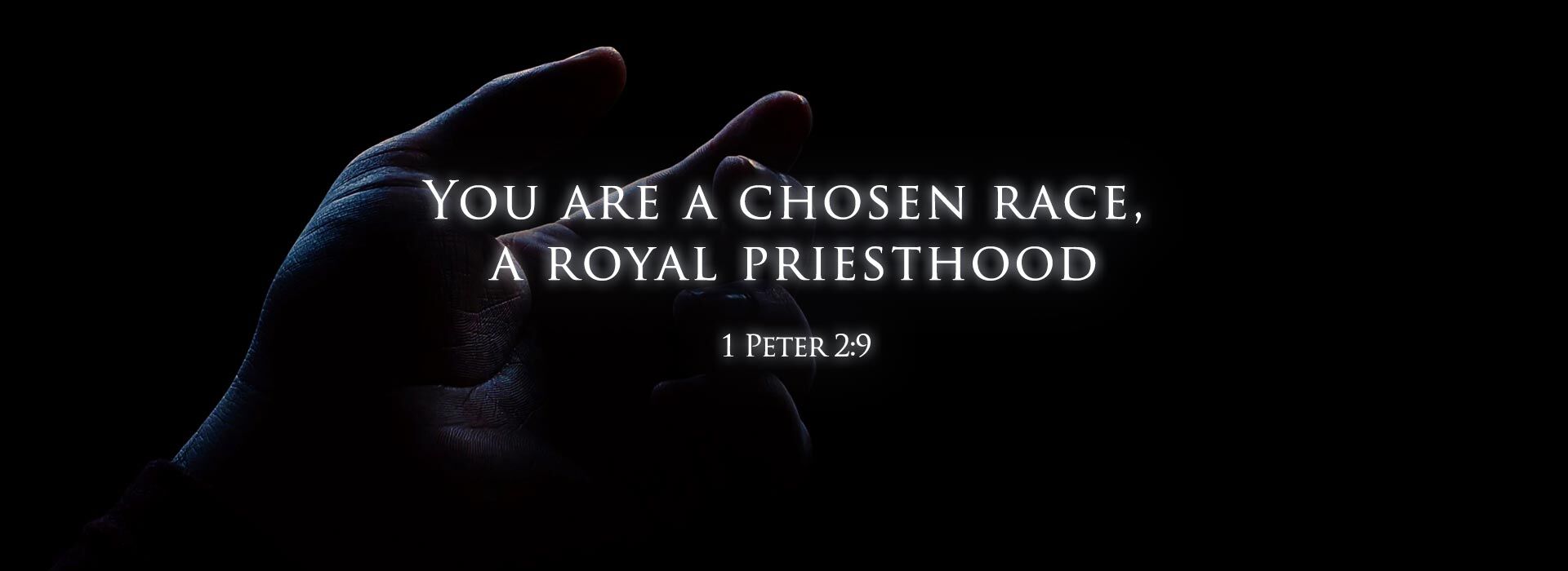 Fifth Sunday of Easter ~ 3rd May 2026