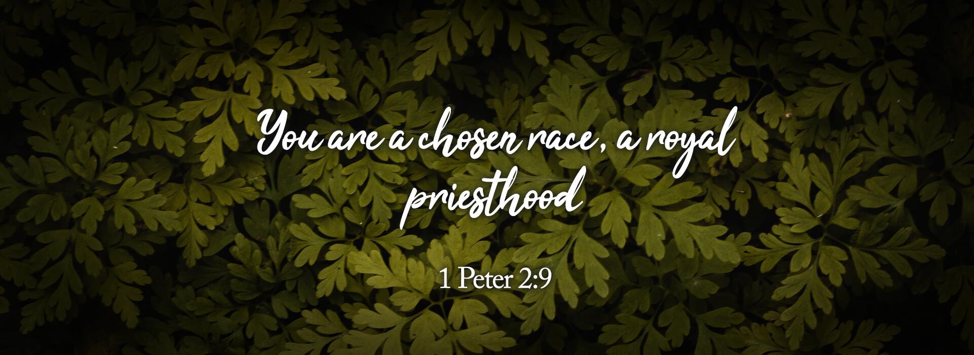 Fifth Sunday of Easter ~ 3rd May 2026