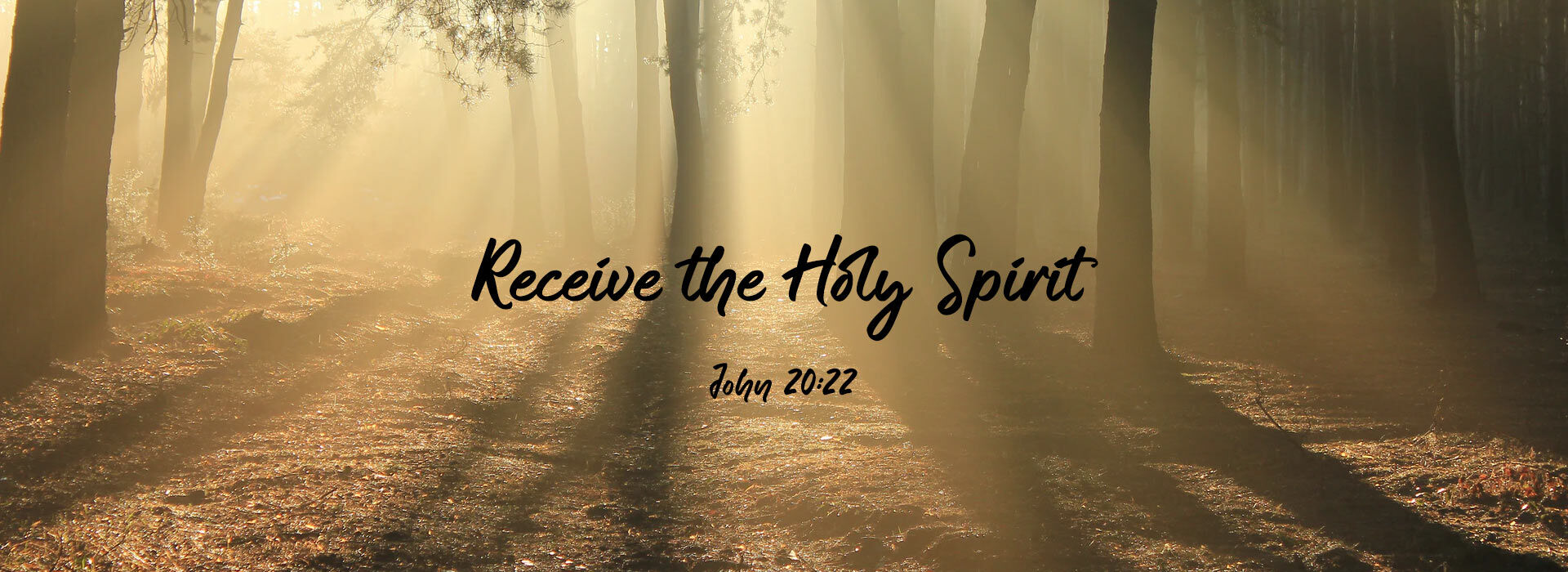 PENTECOST SUNDAY ~ 24th May 2026