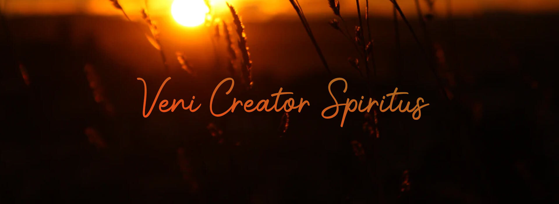 PENTECOST SUNDAY ~ 24th May 2026
