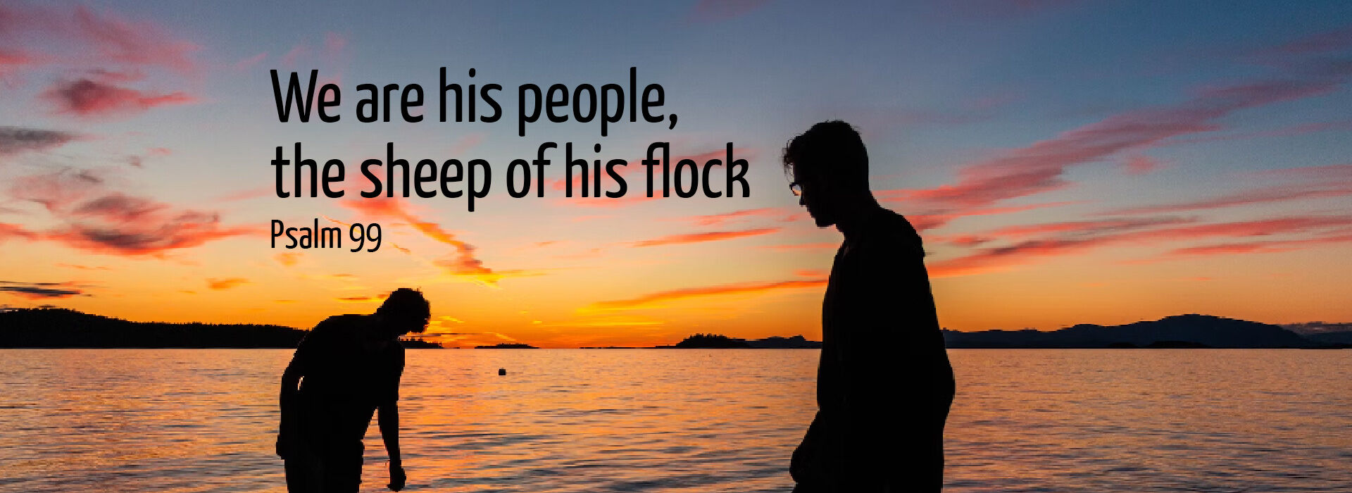 Eleventh Sunday in Ordinary Time ~ 14th June 2026