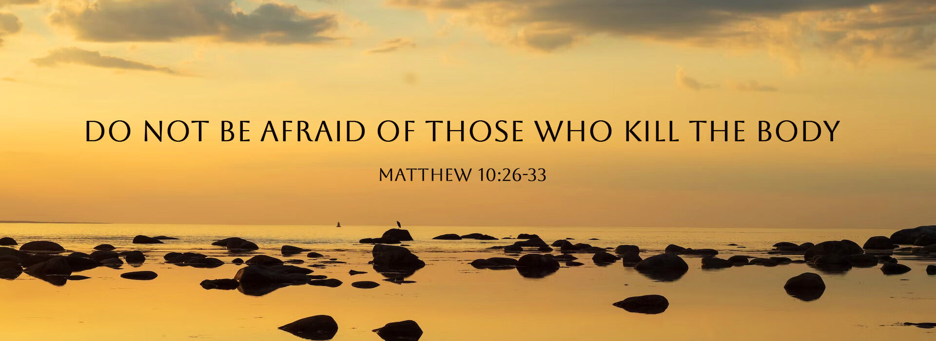 Twelfth Sunday in Ordinary Time ~ 21st June 2026