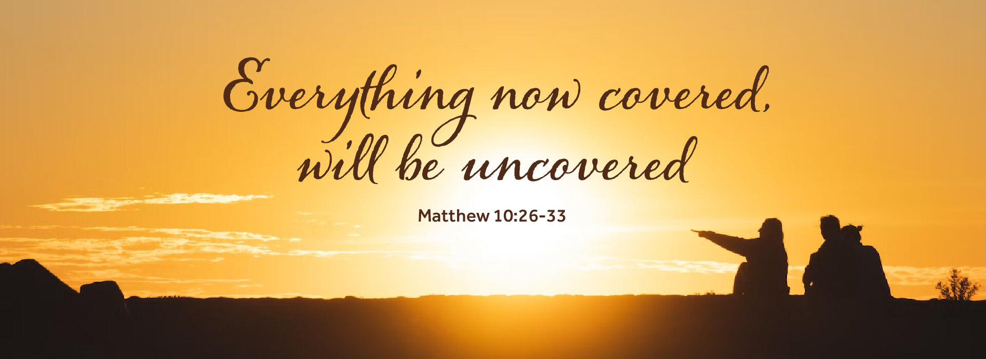 Twelfth Sunday in Ordinary Time ~ 21st June 2026