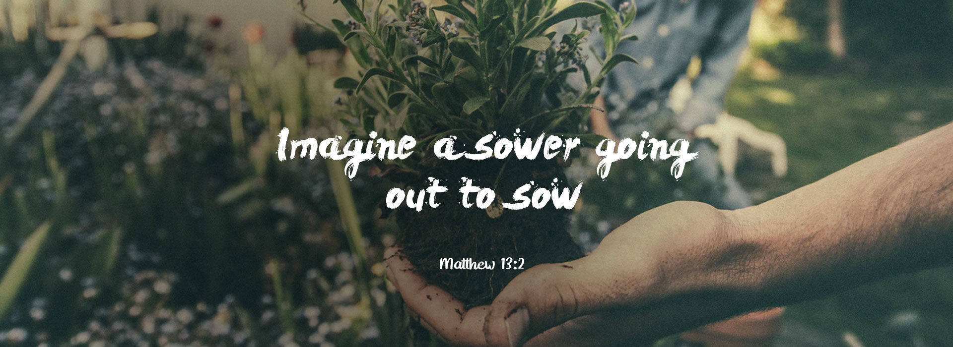 Fifteenth Sunday in Ordinary Time ~ 12th July 2026