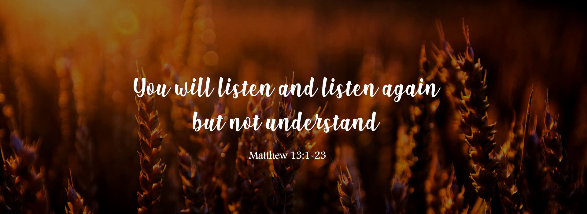 Fifteenth Sunday in Ordinary Time ~ 12th July 2026