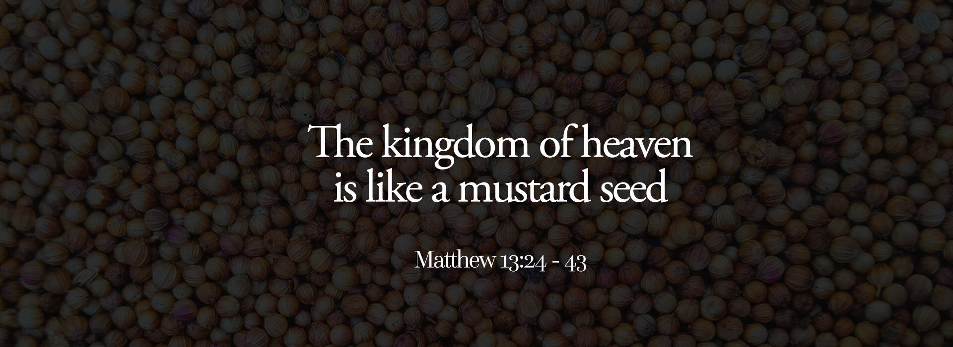 Sixteenth Sunday in Ordinary Time ~ 19th July 2026