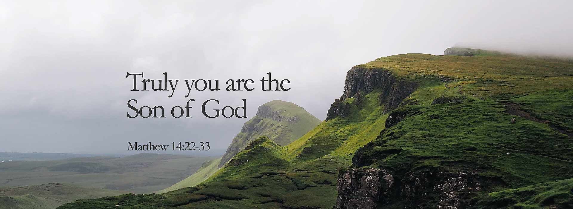 Nineteenth Sunday in Ordinary Time ~ 9th August 2026
