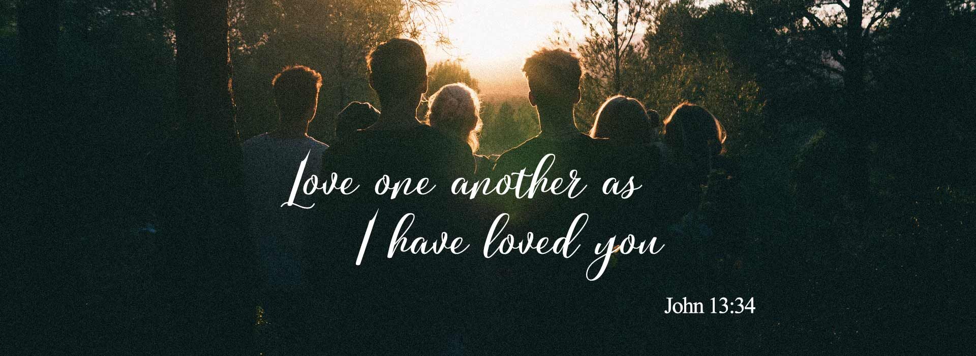 Twenty-Fourth Sunday in Ordinary Time ~ 13th September 2016