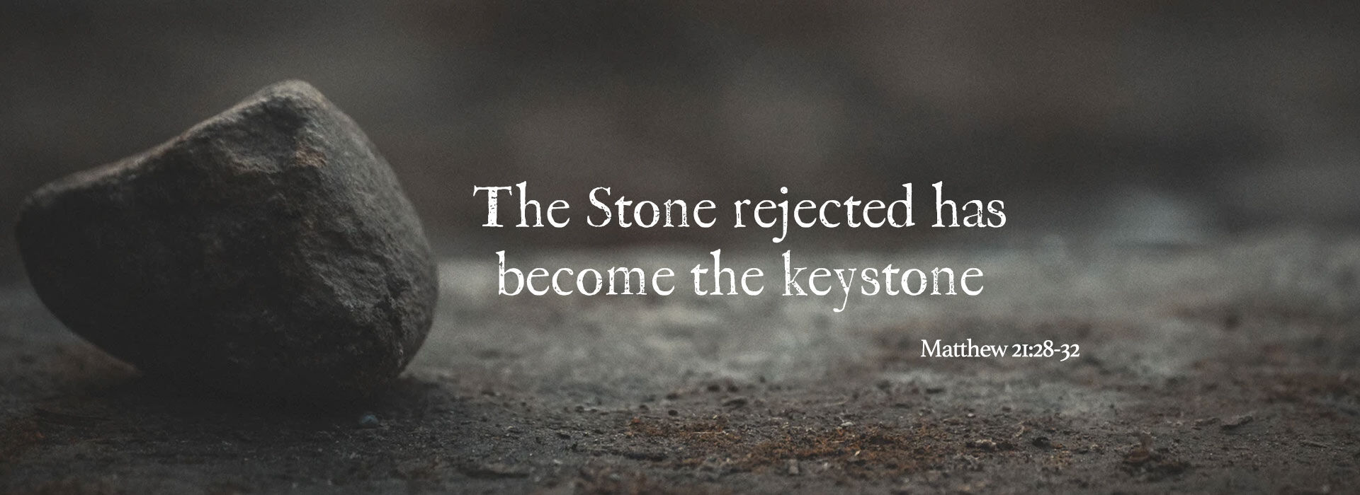 Twenty-Seventh Sunday in Ordinary Time ~ 4th October 2026