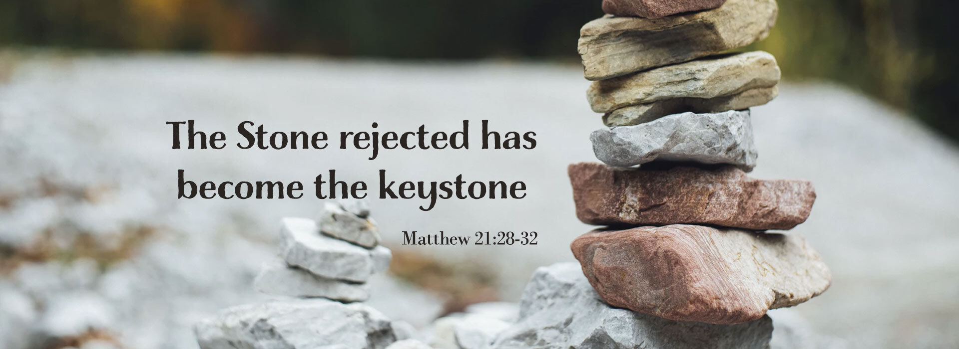 Twenty-Seventh Sunday in Ordinary Time ~ 4th October 2026