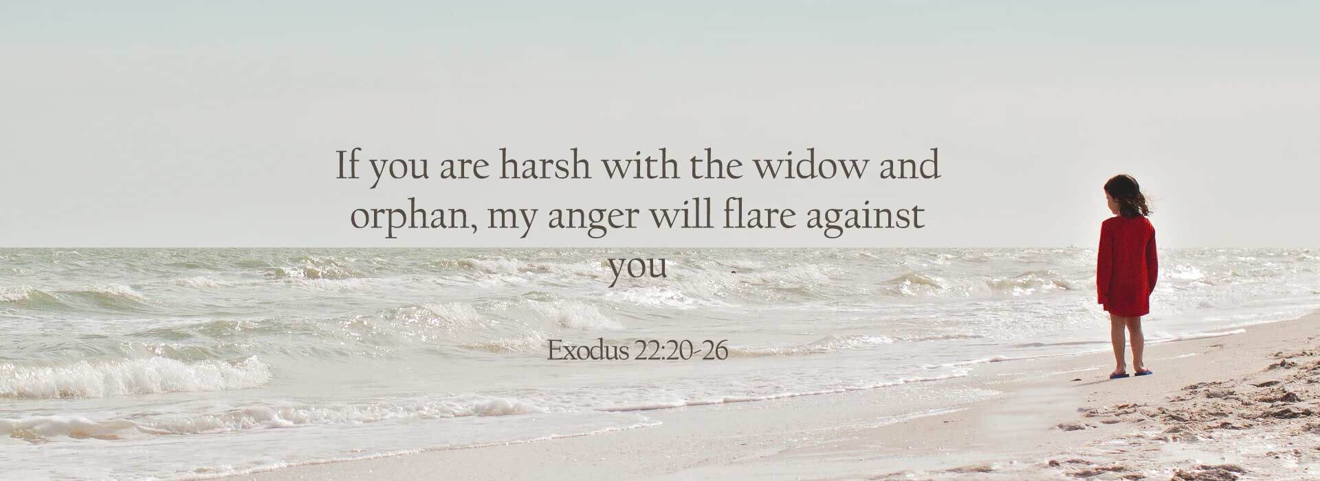Thirtieth Sunday in Ordinary Time ~ 25th October 2026
